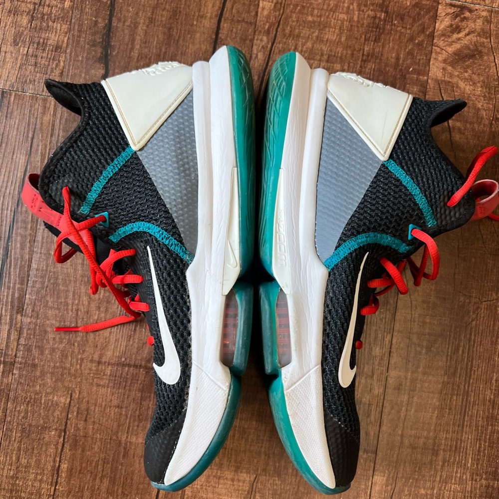 Lebron Witness 4